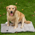 Serviette sèche de bain pour chien en chenille en microfibre douce